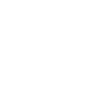 田字格·空白模板